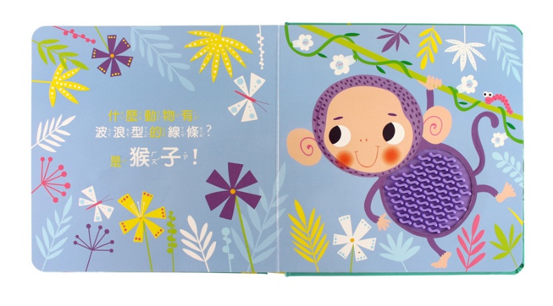動物大驚奇：觸摸認知書